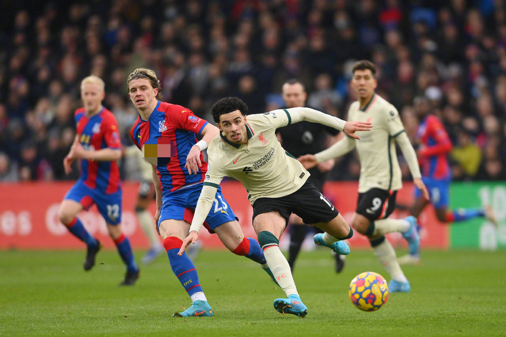 的悼念公告 的悼念公告